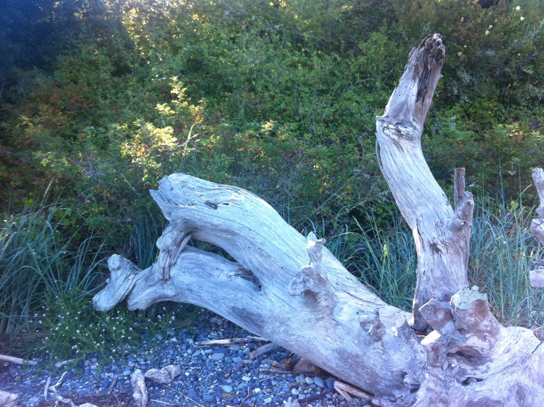 Marrowstone Point Lighthouse-Marrowstone Island必去景点