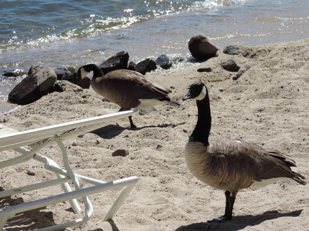 Burnt Cedar Beach-因克莱恩村必去景点