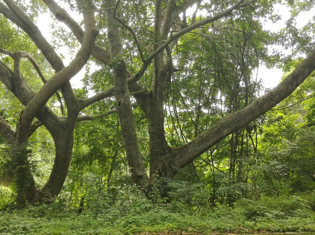 Doi Khun Tan National Park-夜塔必去景点