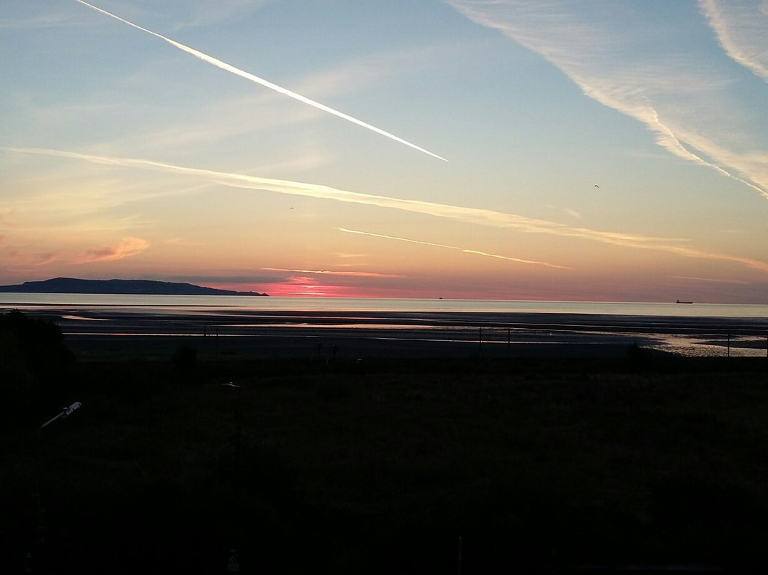 Booterstown Bird Sanctuary-都柏林必去景点