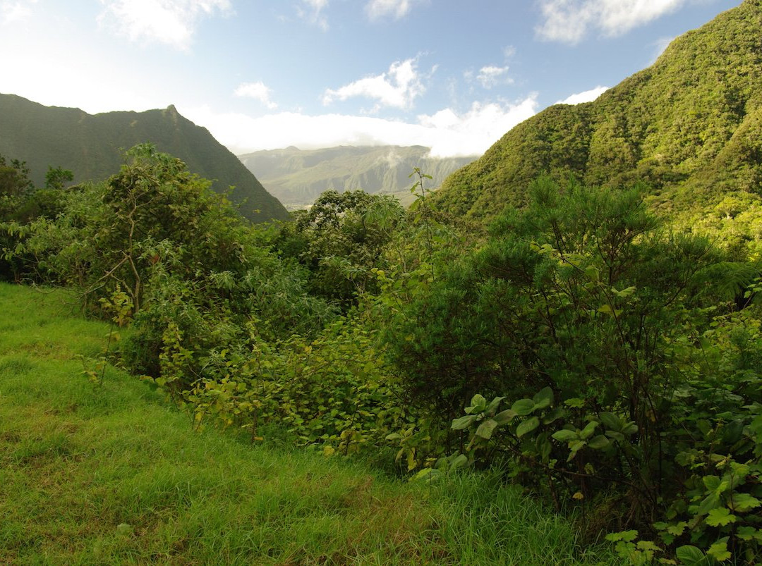 Forêt de Bébour景点图片