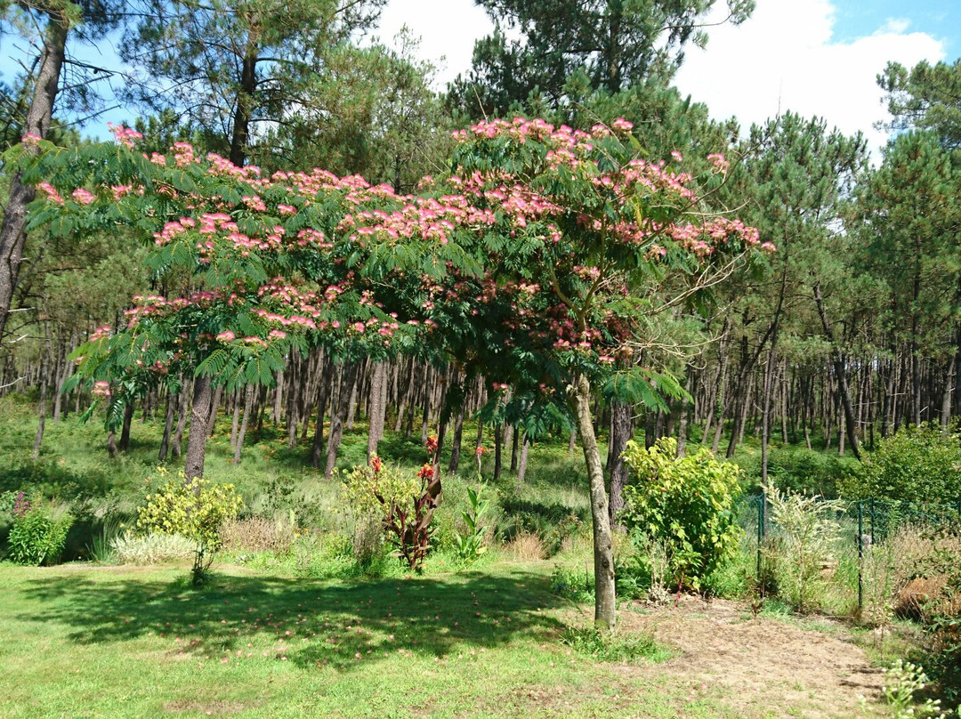 Camping Landes Océanes