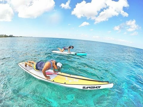 Vitamin Sea Cayman Islands-乔治城必去景点