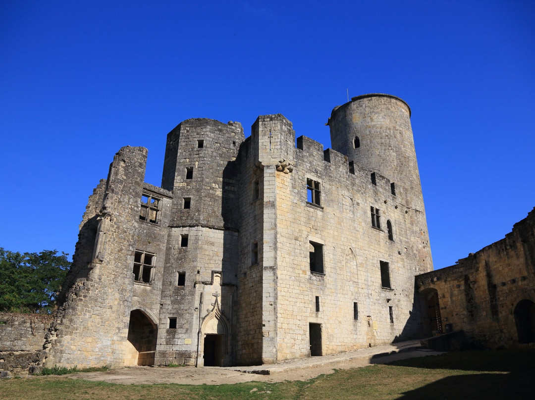 Chateau de Rauzan景点图片
