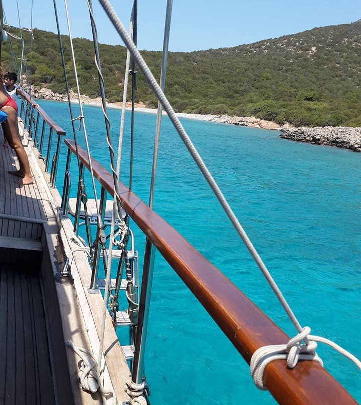 Serenity  Boat Trip景点图片