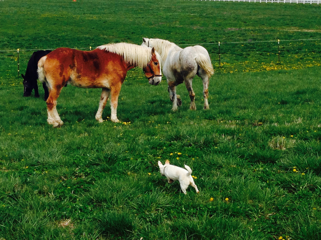 Brookdale Farms-Eureka必去景点