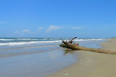 San Jose Island-阿兰瑟斯港必去景点