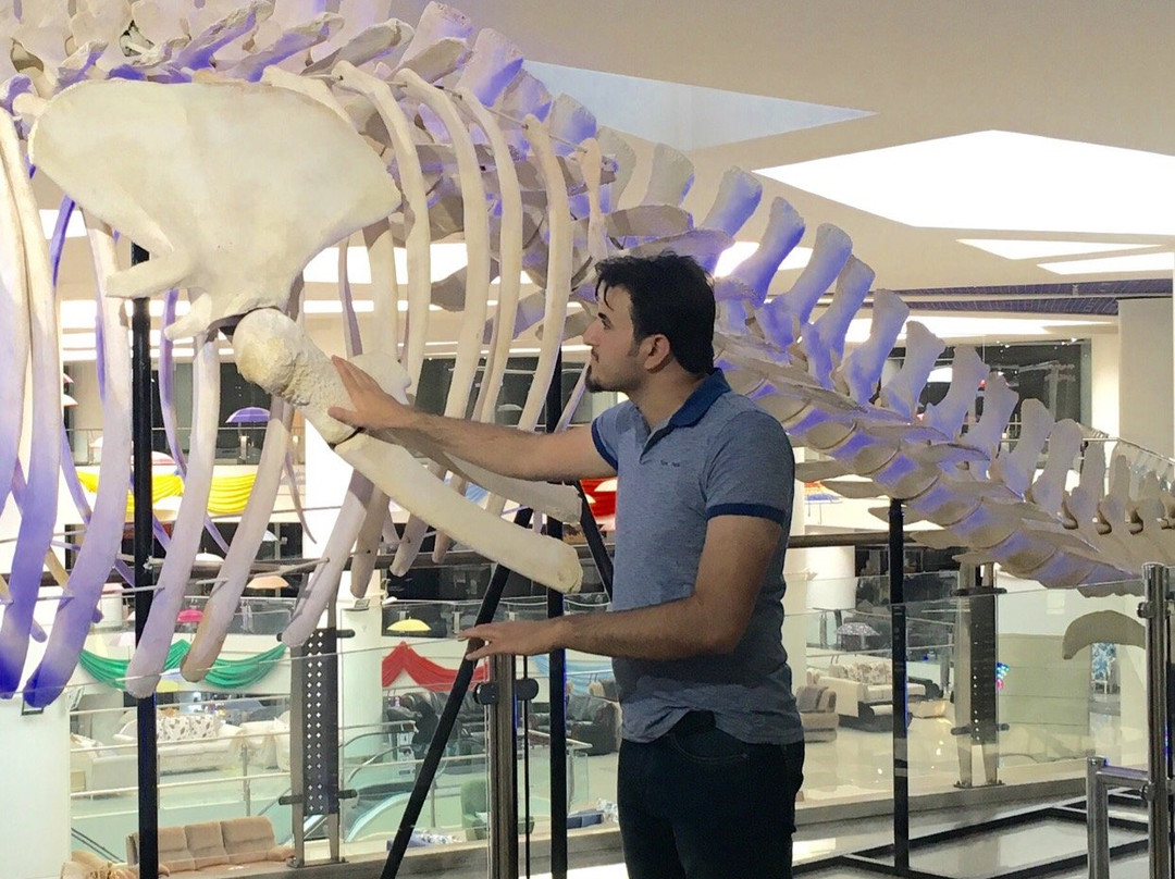 Professor Bazima Science Park景点图片