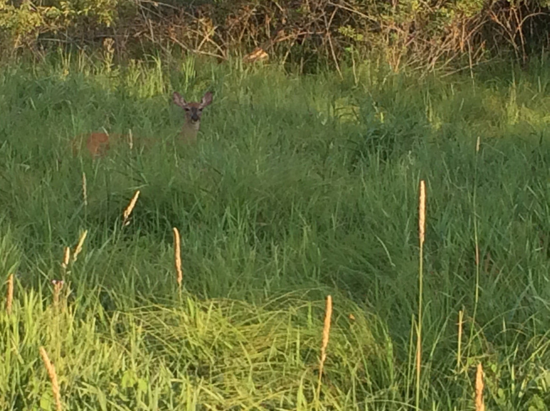Millbrook Marsh Nature Center-宾夕法尼亚州学院必去景点