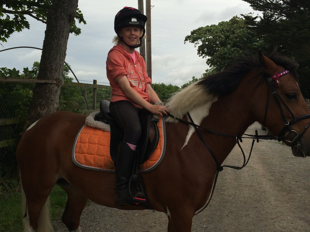 Corballis Farm Horse Trekking & Therapeutic Riding Centre-都柏林必去景点