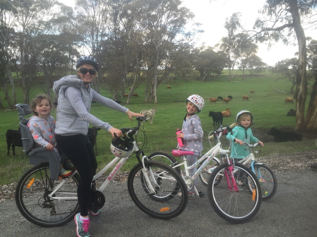 Richardson Park Playspace-克莱尔必去景点