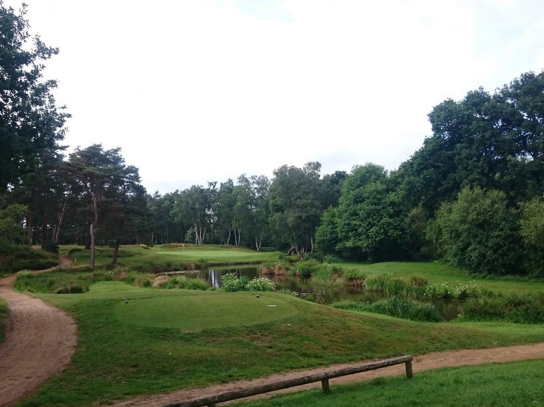 West Sussex Golf Club景点图片