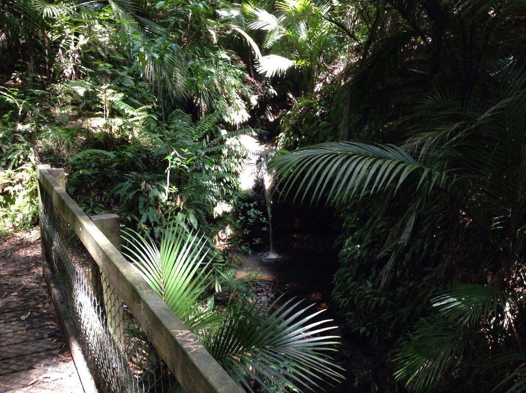 Ratapihipihi Scenic Reserve Walk-新普利默斯必去景点
