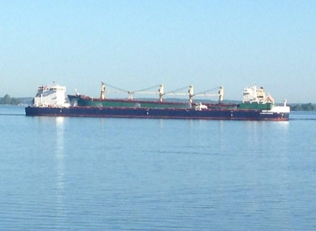 Your Wave Tours-Clayton必去景点