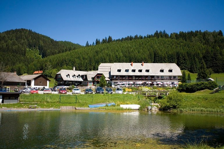 弗拉尼茨泰夏姆酒店住宿-Almgasthof Hotel Teichwirt
