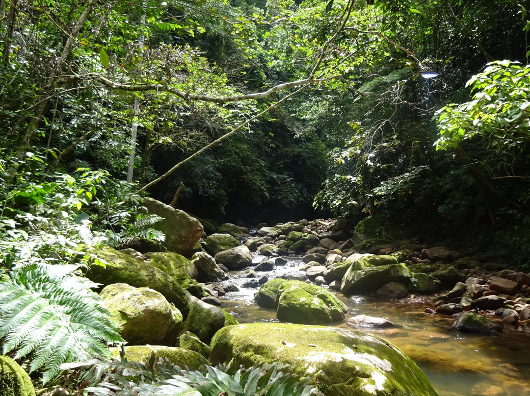 Circuitos Ecoturísticos Alto Shilcayo y Adyacentes-Tarapoto必去景点
