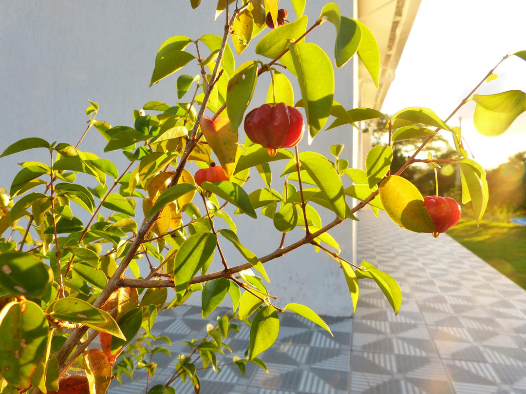 Casa Schneider - Pousada e Recepcoes主图