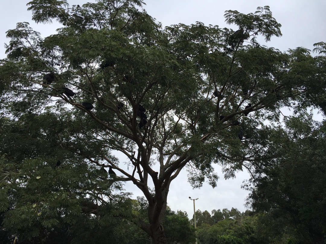 La Estacion de Cria de Fauna-Piriapolis必去景点