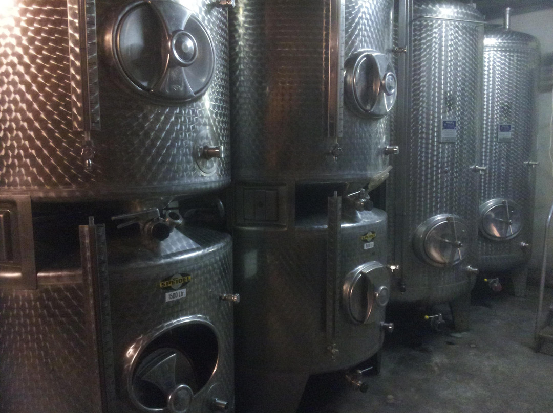 Domaine Hertzog-Herrlisheim-pres-Colmar必去景点