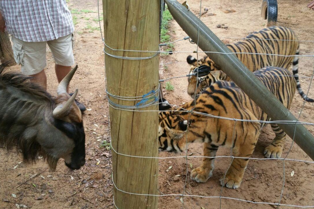 Sondela Rehab Centre Bela Bela-贝拉贝拉必去景点