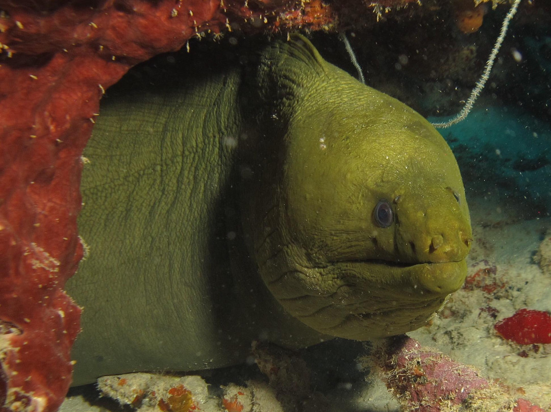 Jeremi Baai-Sabana Westpunt必去景点