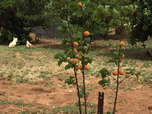 Warnertown旅游攻略图片