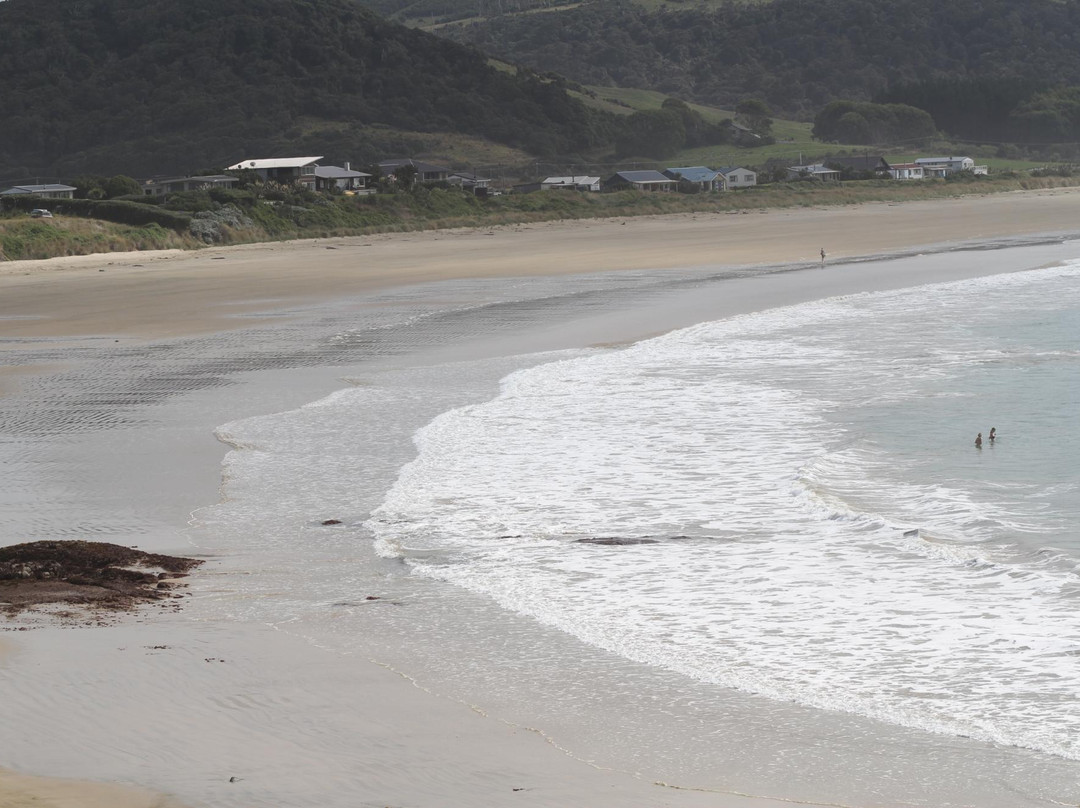 Catlins Surf School