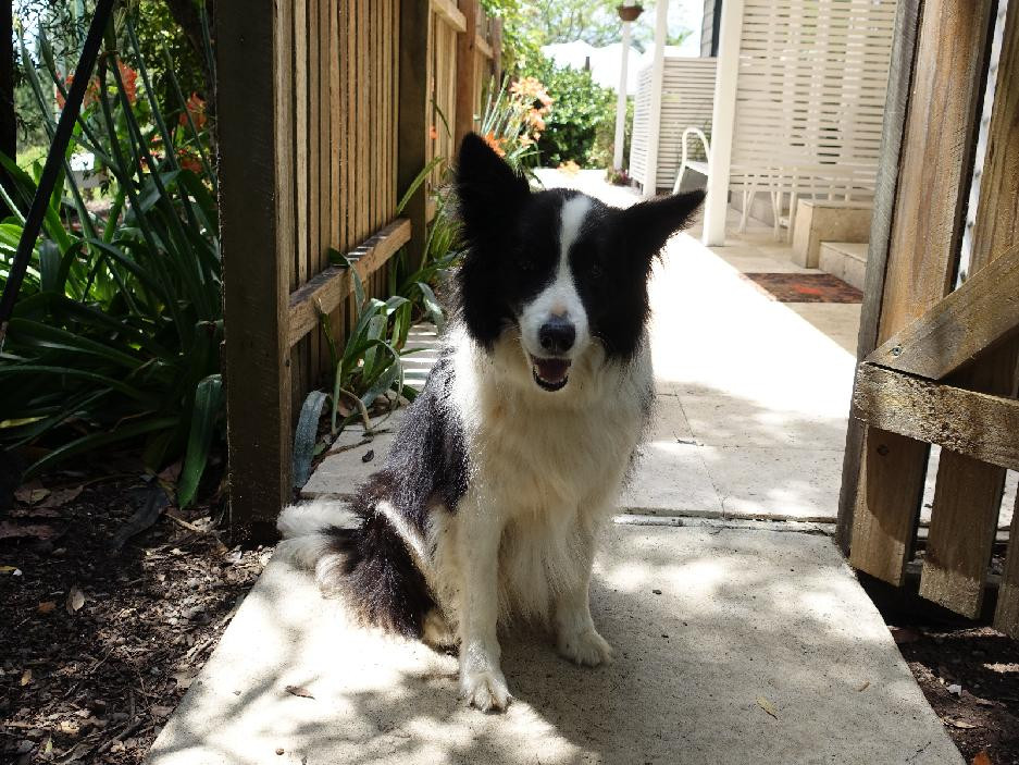 Winston Cottage Bed & Breakfast主图