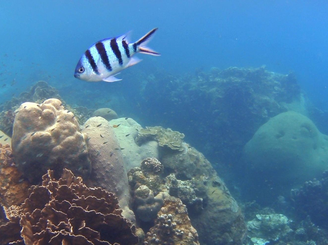 Lighthouse Bay-涛岛必去景点