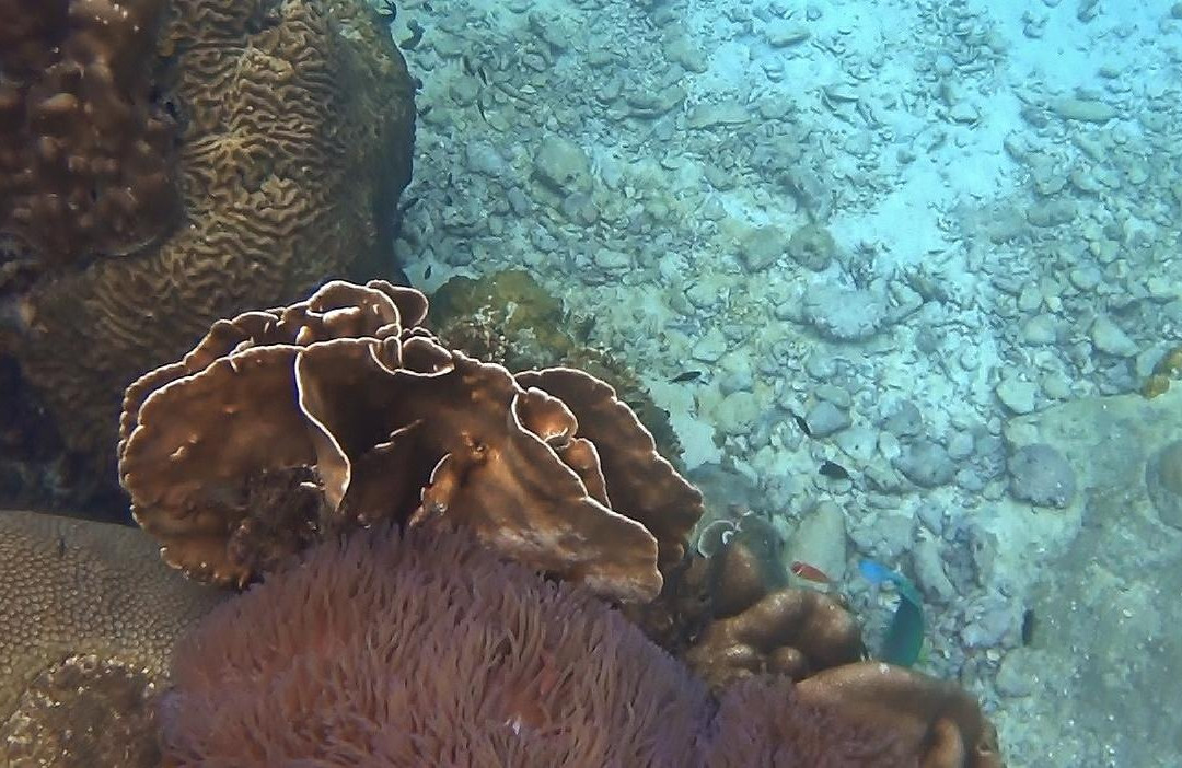 Lighthouse Bay-涛岛必去景点
