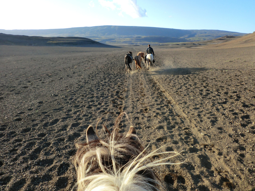 Nupshestar-塞尔福斯必去景点