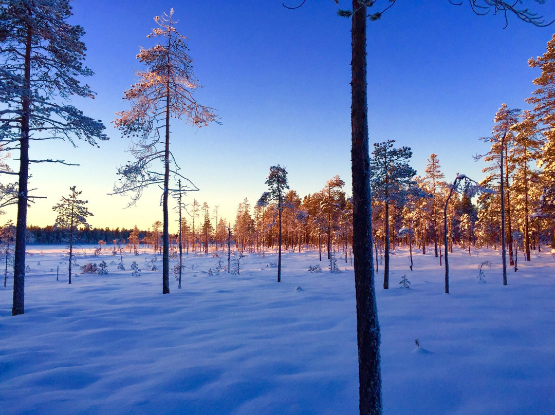 Trysil Hestesenter景点图片