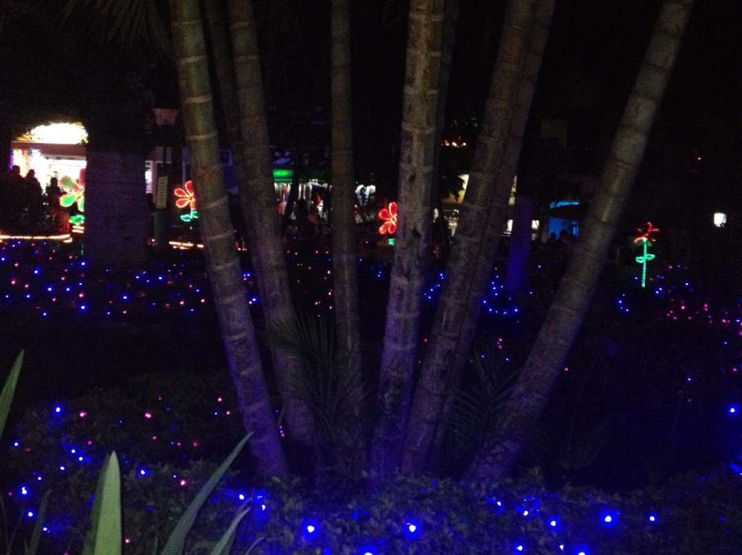 Parque Central San Francisco-San Francisco必去景点