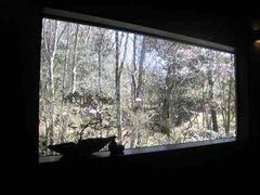 手打蕎麦 ふかさわ