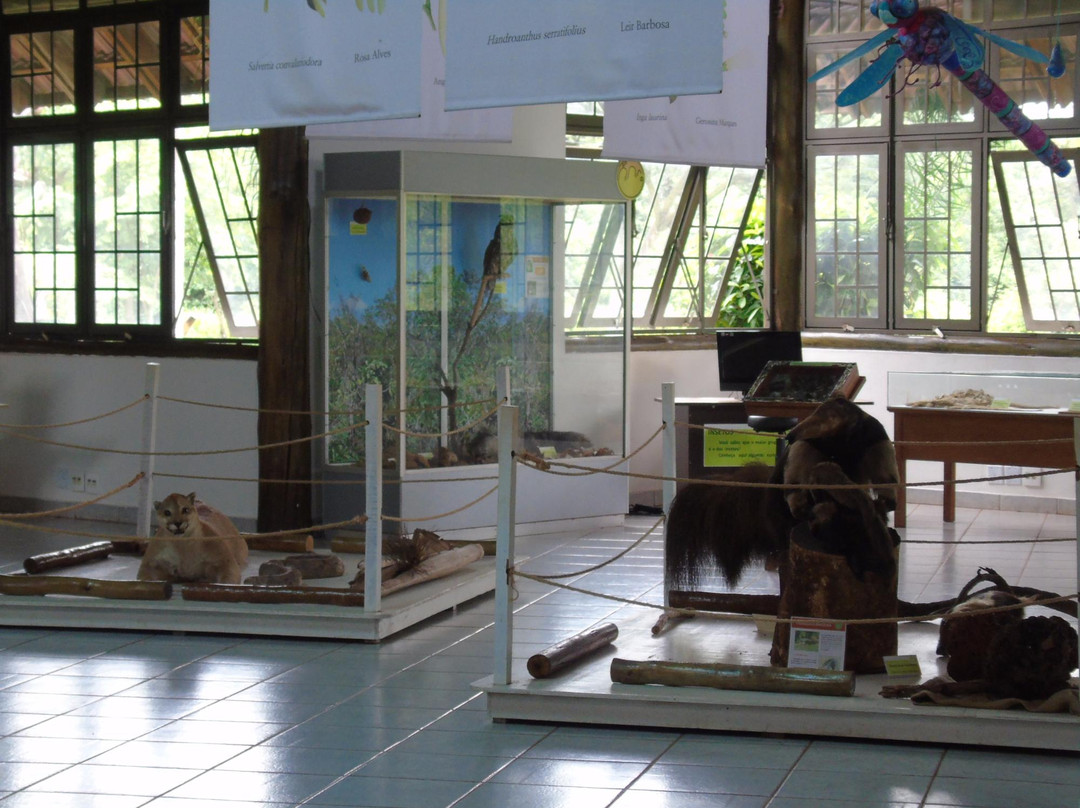 Parque Municipal Victório Siquierolli-乌贝兰迪亚必去景点