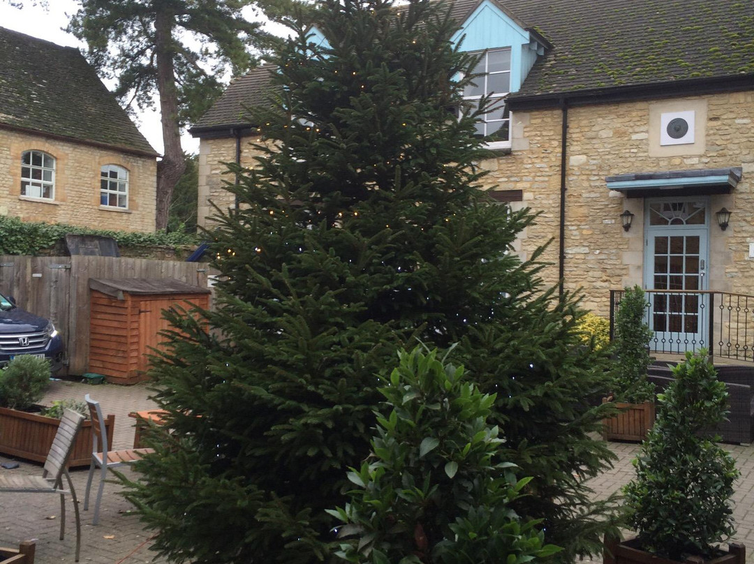 The Blue Boar