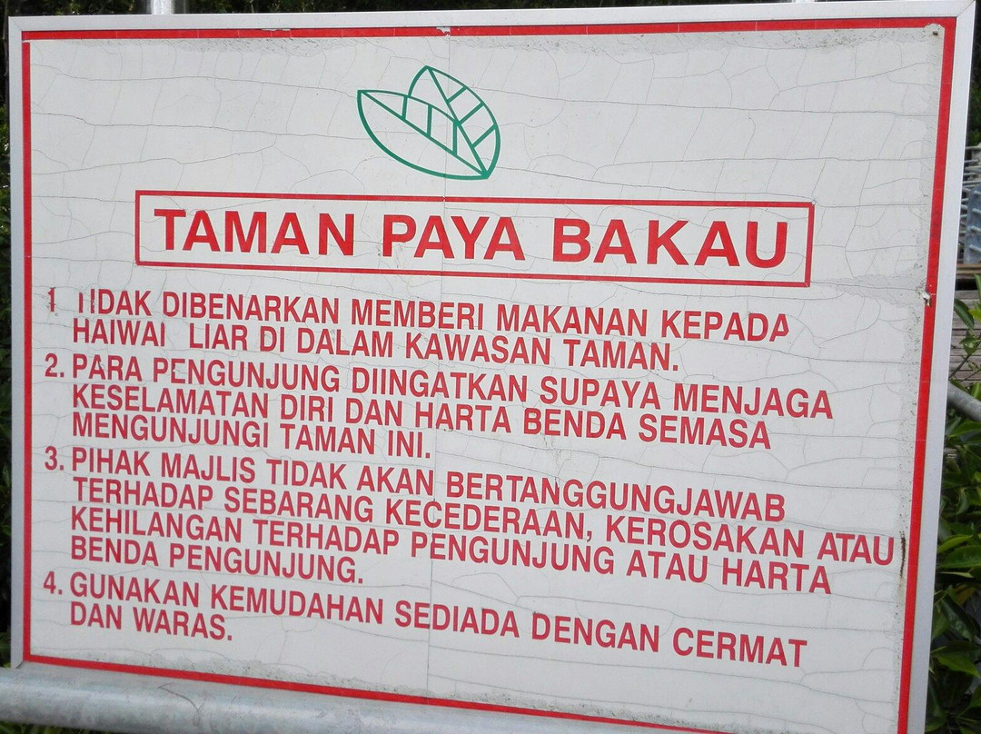 Mangrove Swamp Park-红土坎必去景点