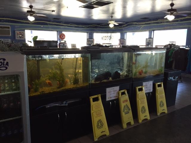 High sierra oasis/ route 66-Essex必去景点