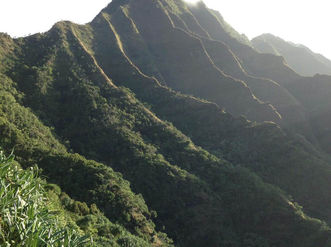 Kalalau Trail Outfitters-哈纳雷伊必去景点