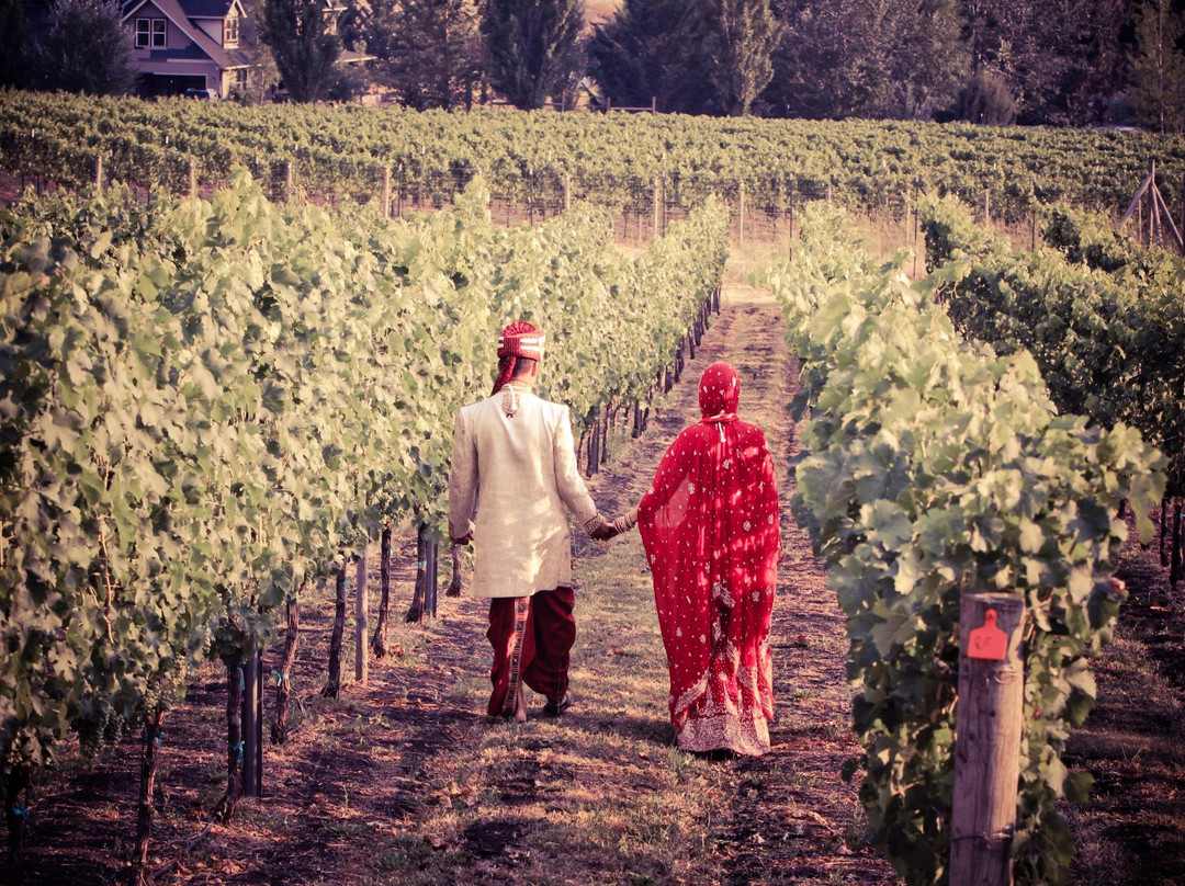 Grizzly Peak Winery-阿什兰必去景点