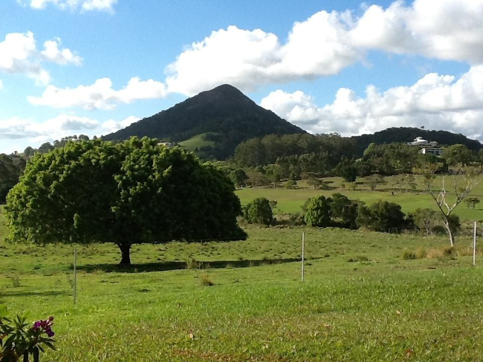 Mount Cooroy景点图片