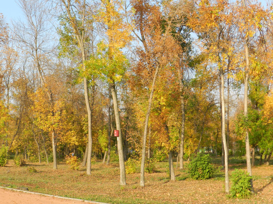 Central Park of Culture and Recreation-Salavat必去景点