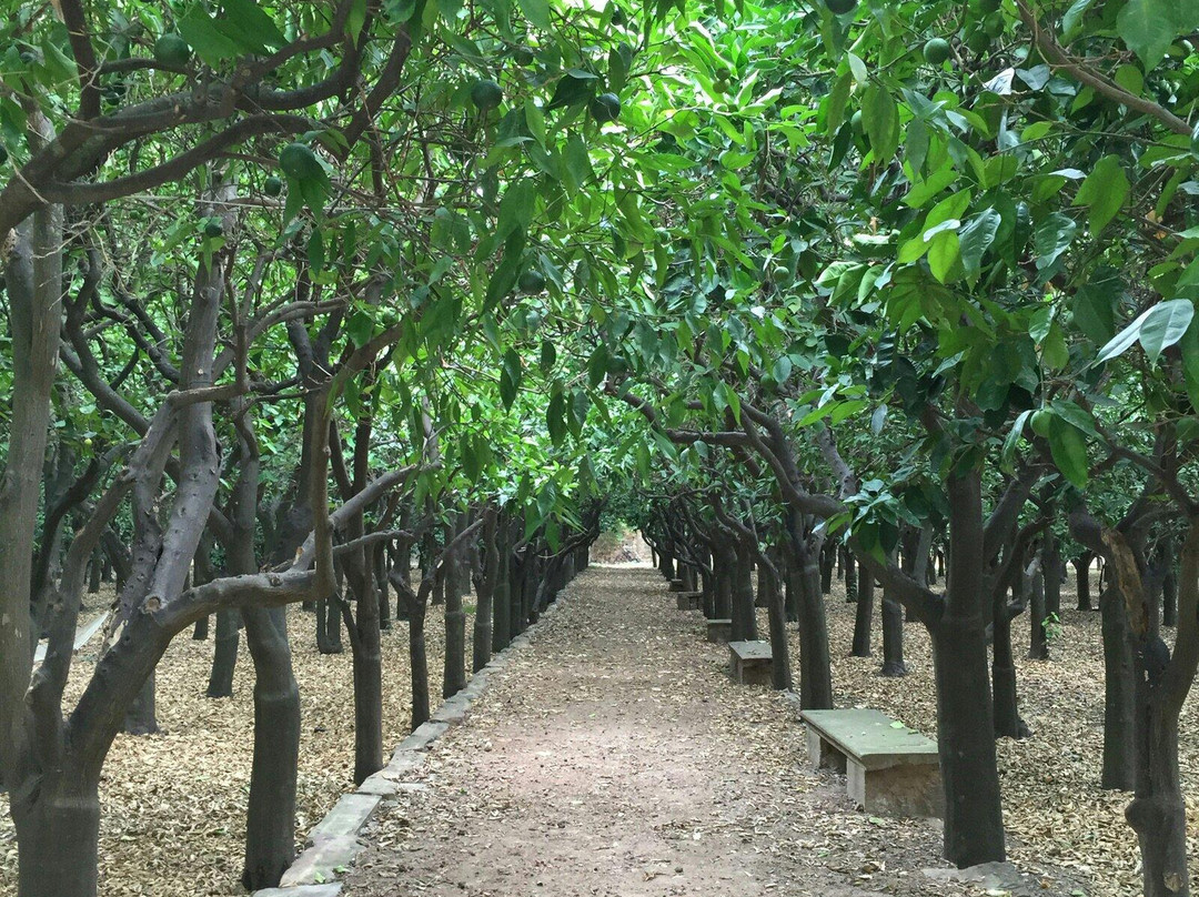 Arhodico Agricultural Pension主图