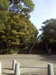 Oi Central Seaside Park-品川区必去景点