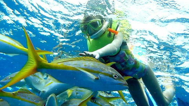 Sun Star Watersports Jamaica-奥乔里奥斯必去景点