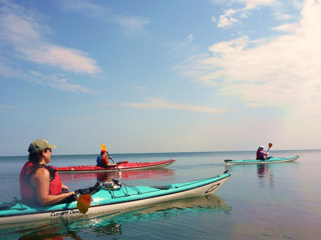 Coastal Spirit Expeditions-Cape John必去景点
