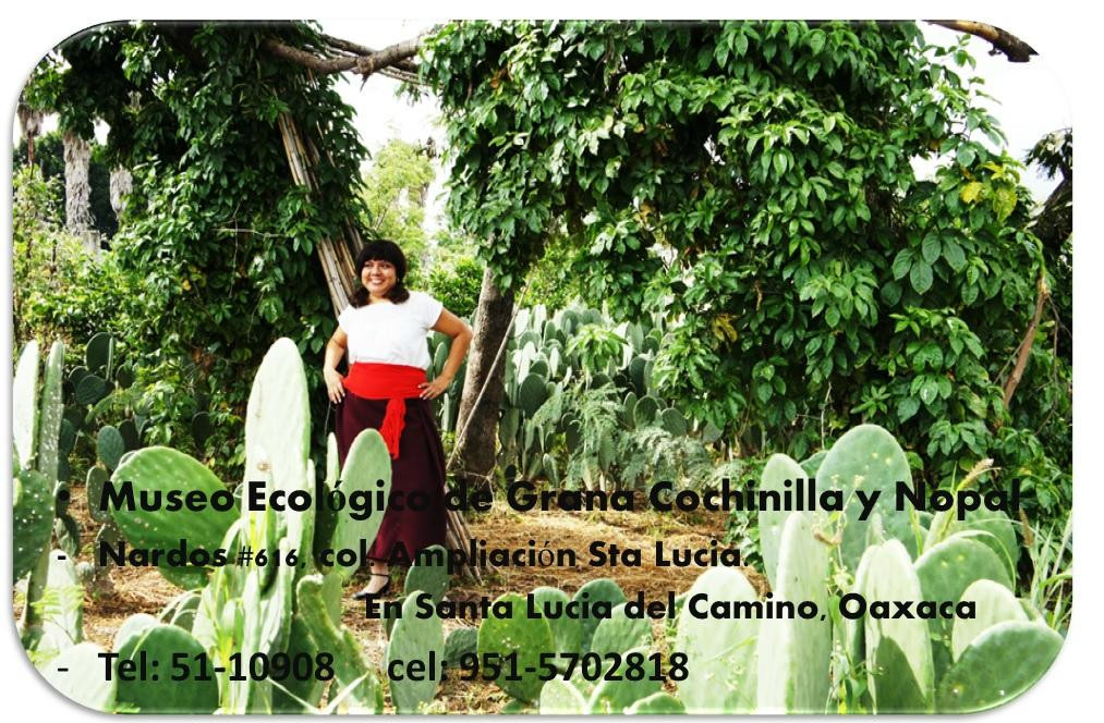 Museo Vivo de la Grana Cochinilla - Nocheztlicalli-瓦哈卡必去景点