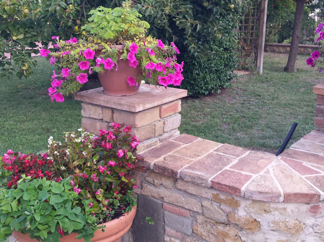 Azienda Agricola Montalpruno景点图片