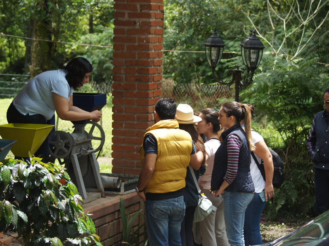 El Tour del Cafe Finca Don Silvano景点图片
