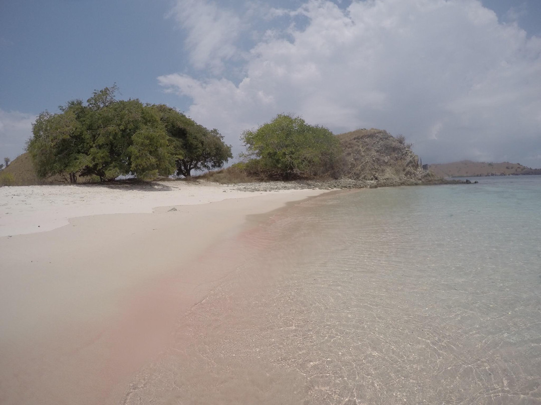 Pink Beach-科莫多必去景点